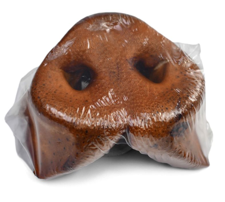 SUPERCAN PORK SNOUTS