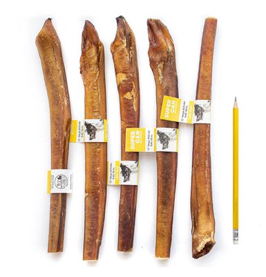 SUPERCAN 12&quot; MONSTER BULLY STICK