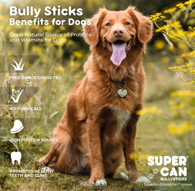SUPERCAN 12" MONSTER BULLY STICK