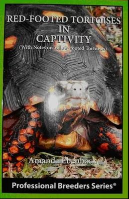 ECO RED FOOT TORT IN CAPTIVITY
