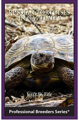 ECO RUSSIAN TORT IN CAPTIVITY