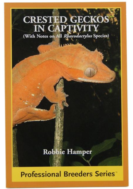 ECO CRESTED GECKO IN CAPTIVITY