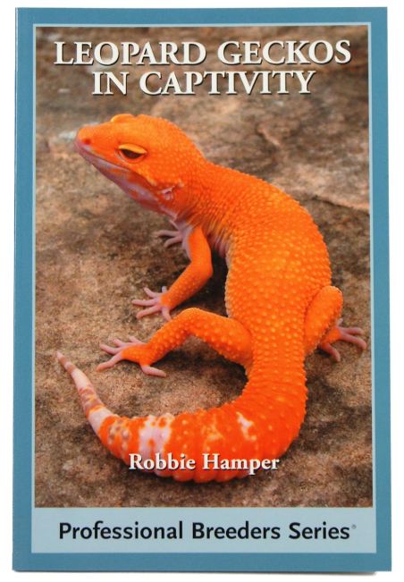 ECO LEOPARD GECKO IN CAPTIVITY