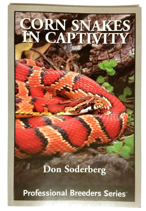 ECO CORN SNAKES IN CAPTIVITY
