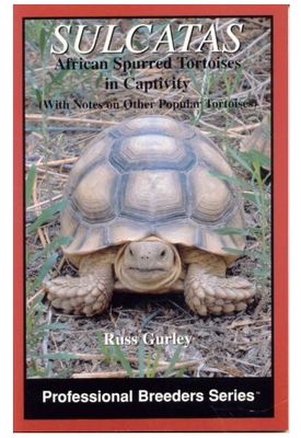 ECO SULCATAS IN CAPTIVITY