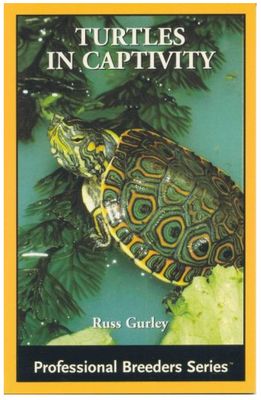 ECO TURTLES IN CAPTIVITY