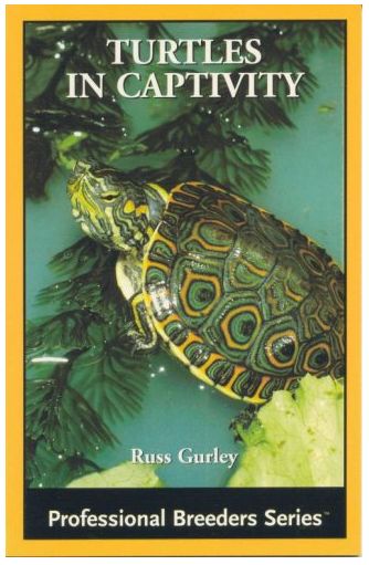 ECO TURTLES IN CAPTIVITY