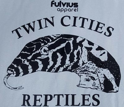 FUL T-SHIRT KINGS LEONIS SM