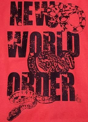FUL T-SHIRT NWO LG