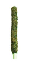 GAL MOSSY PERCH 18&quot;