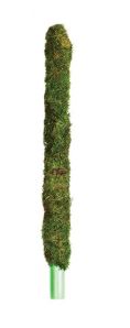 GAL MOSSY PERCH 30&quot;