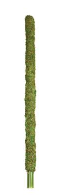 GAL MOSSY PERCH 36&quot;