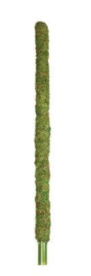 GAL MOSSY PERCH 36&quot;