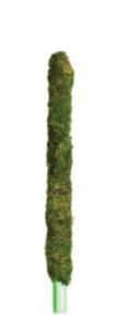 GAL MOSSY PERCH 24&quot;