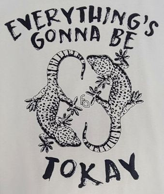 FUL T-SHIRT TOKAY XL