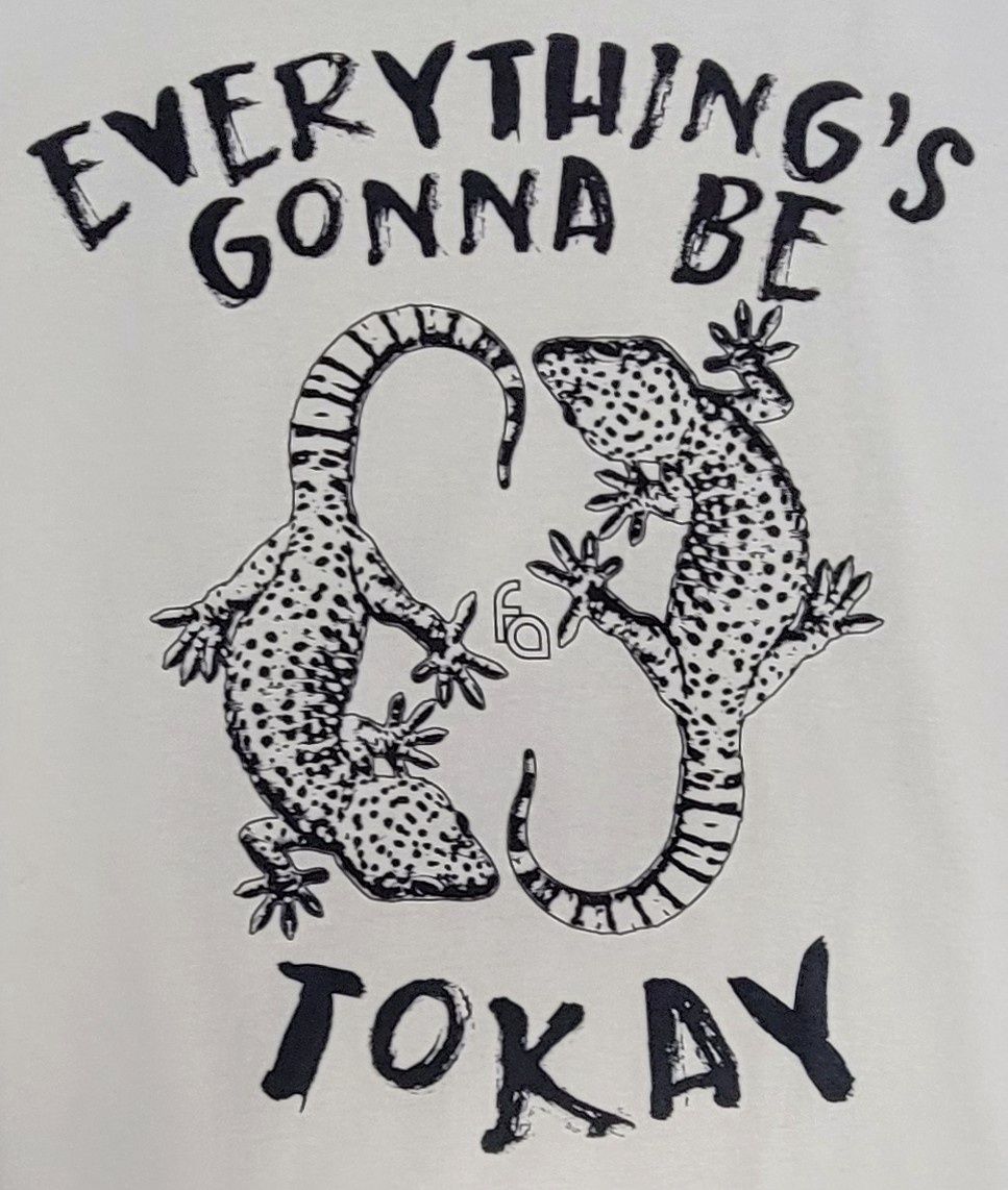 FUL T-SHIRT TOKAY LG, Colour: ICE GREY
