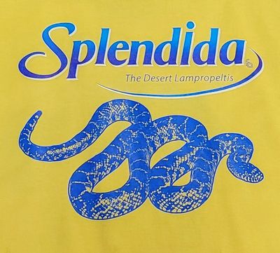 FUL T-SHIRT SPLENDIDA LG