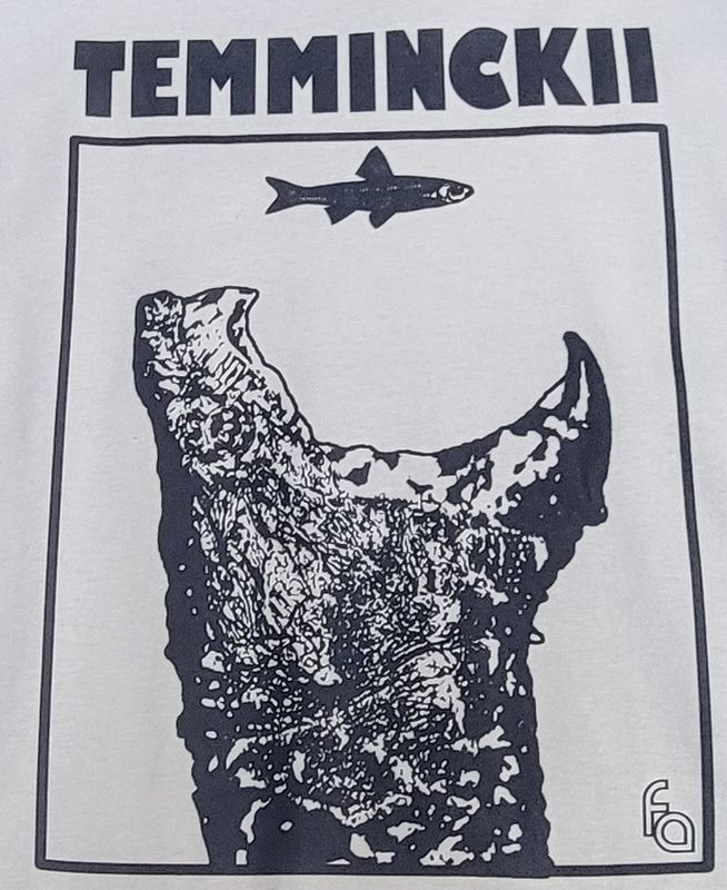 FUL T-SHIRT TEMMINCKII JAWS  XXL