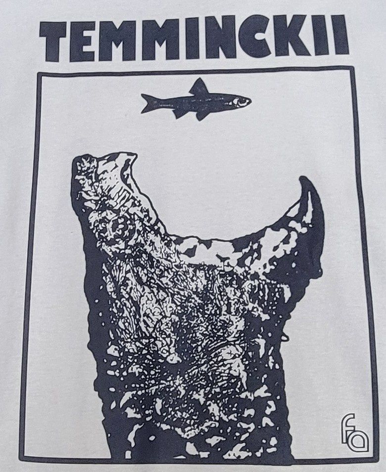 FUL T-SHIRT TEMMINCKII JAWS SM