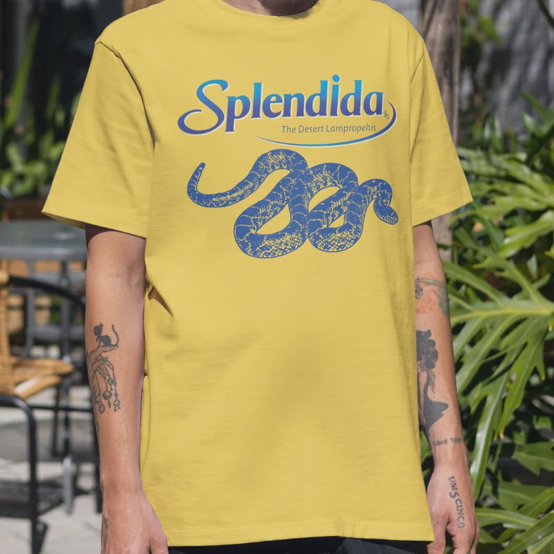 FUL T-SHIRT SPLENDIDA LG