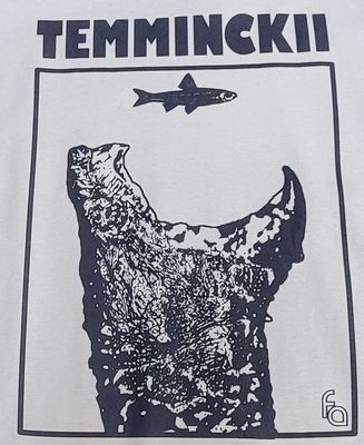 FUL T-SHIRT TEMMINCKII JAWS MD