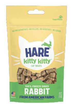 HARE KITTY KITTY
