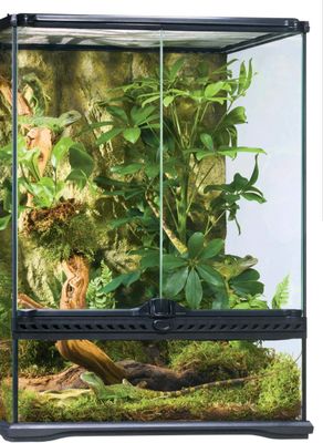 HAG EXO-T GLASS TERR 18X18X36