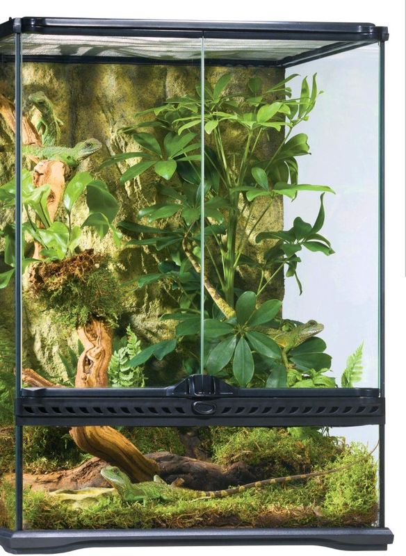 HAG EXO-T GLASS TERR 36X18X24