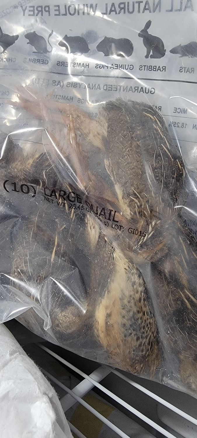QUAIL FRZ MD