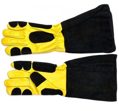 HOOKS &amp; GLOVES