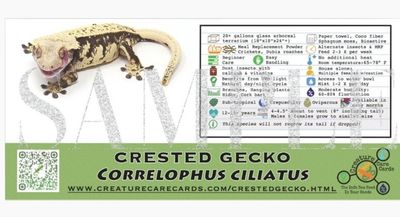 CREATURE CARDS