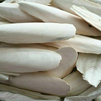 OTHER BIRD SUPPLIES