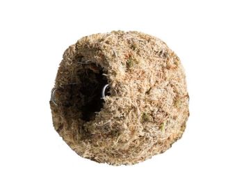 GAL MOSSY CAVE 6 IN BLONDE