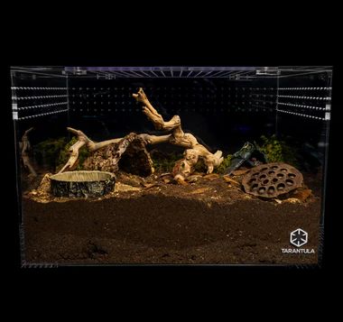 TC TERRESTRIAL XL