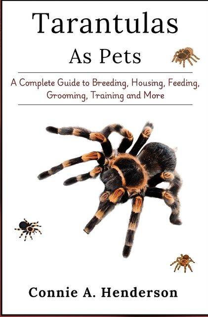 TARANTULAS AS PETS