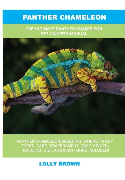 PANTHER CHAMELEON PET OWNERS MANUAL