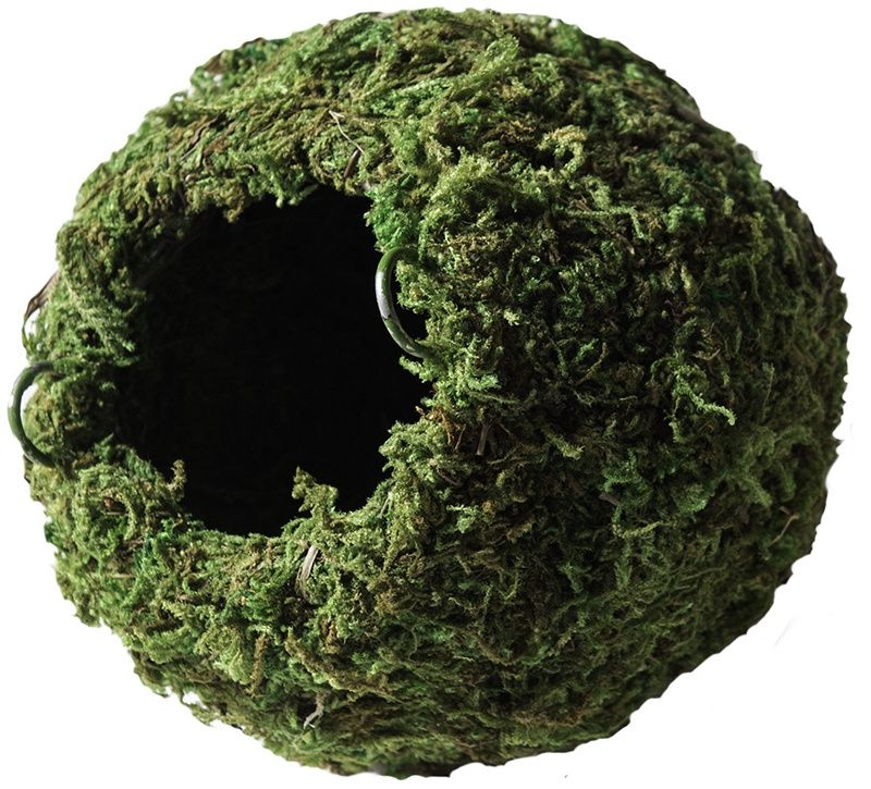 GAL MOSSY CAVE 6 IN GREEN