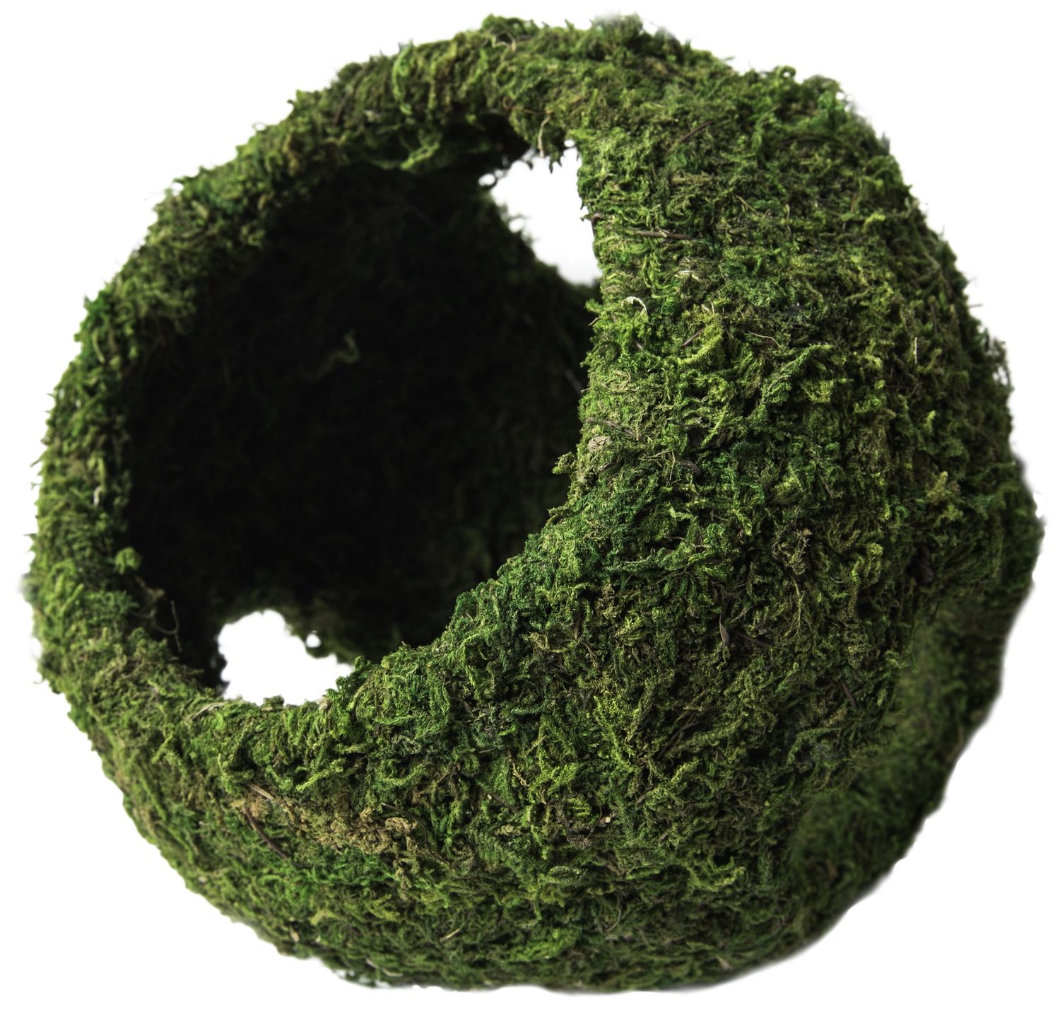 GAL MOSSY CAVE W HOLES 7.5&quot;