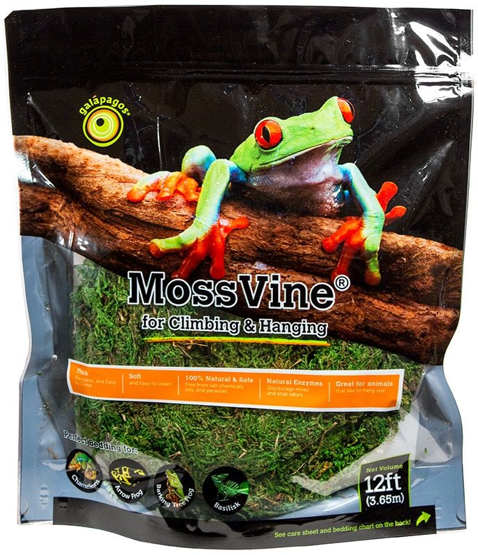GAL MOSS VINE 12 FT