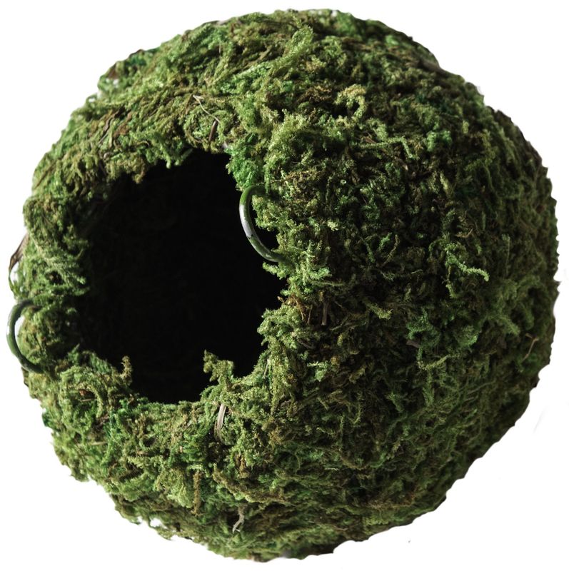 GAL MOSSY CAVE 4 IN GREEN