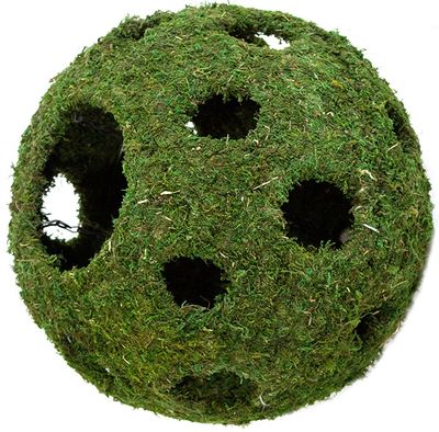GAL MOSSY CAVE WITH HOLES 12&quot;