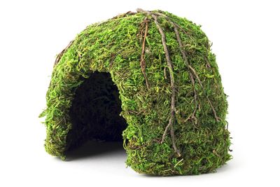 GAL MOSSY DOME 6&quot; GREEN