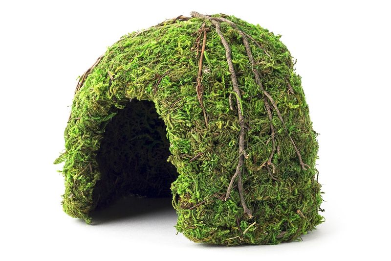 GAL MOSSY DOME 6&quot; GREEN