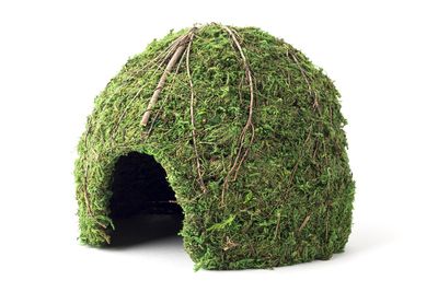 GAL MOSSY DOME 9&quot; GREEN