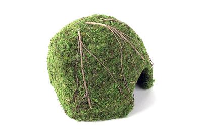 GAL MOSSY DOME 9" GREEN