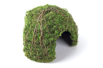 GAL MOSSY DOME 6" GREEN
