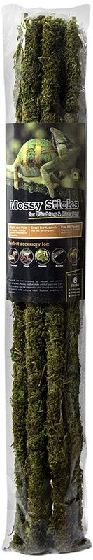 GAL MOSSY STAKES 24 IN 6 PC