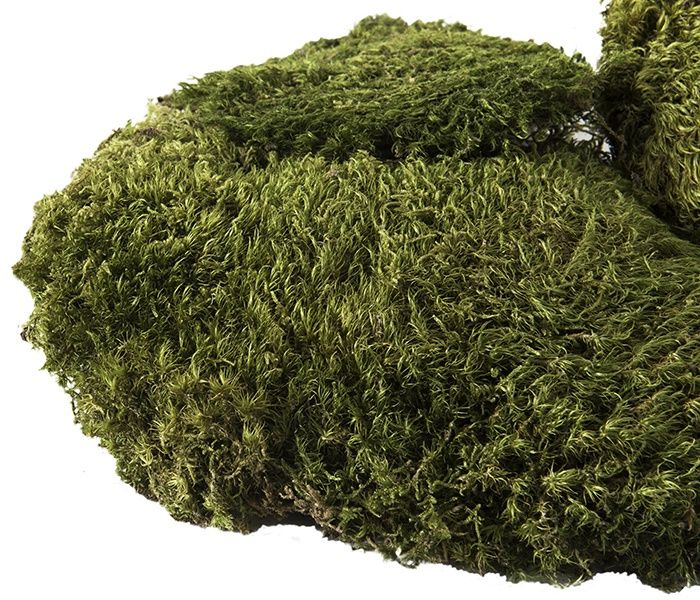 GAL PILLOW MOSS 4 QT