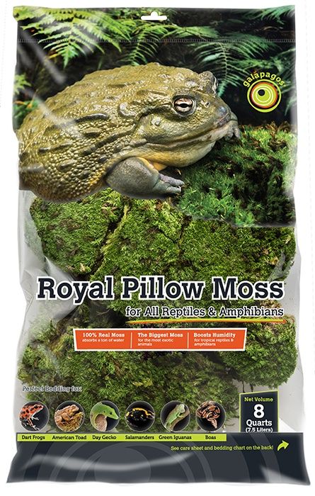 GAL ROYAL PILLOW MOSS 8 QT