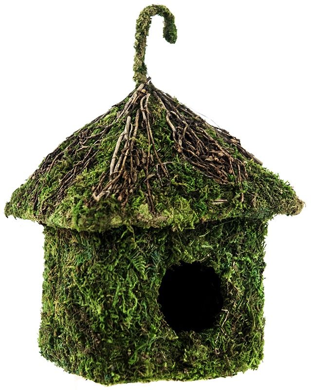 GAL SHACK HOUSE